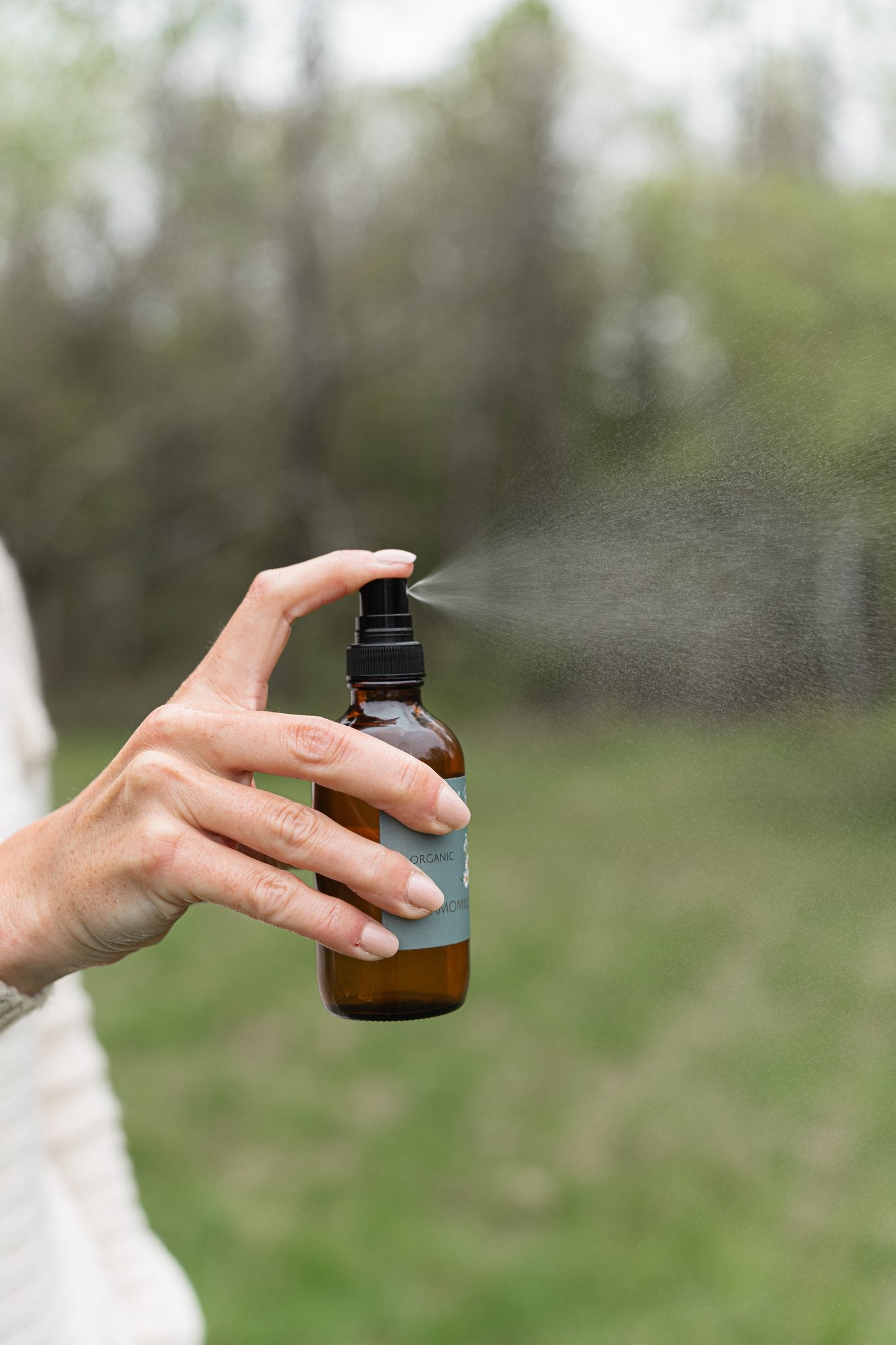 German Chamomile Hydrosol