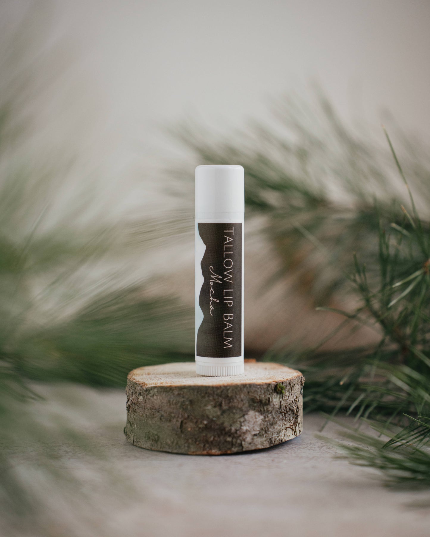 Mocha Tallow Lip Balm