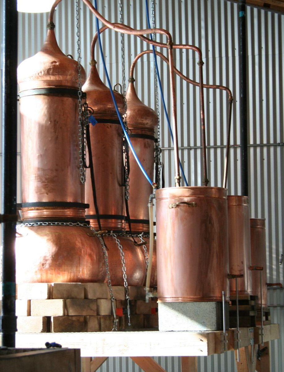 German Chamomile Hydrosol