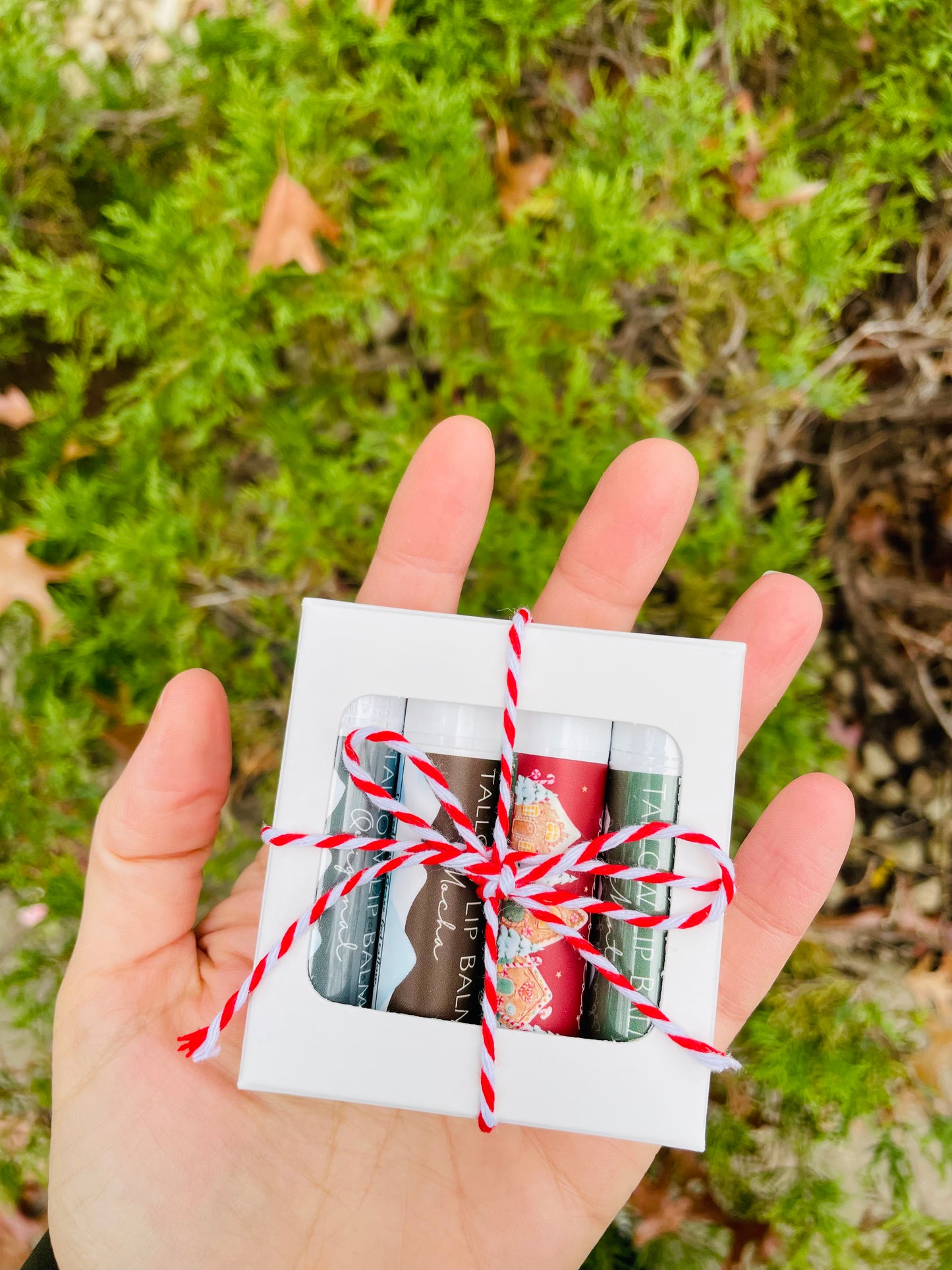 Holiday Lip Balm Set